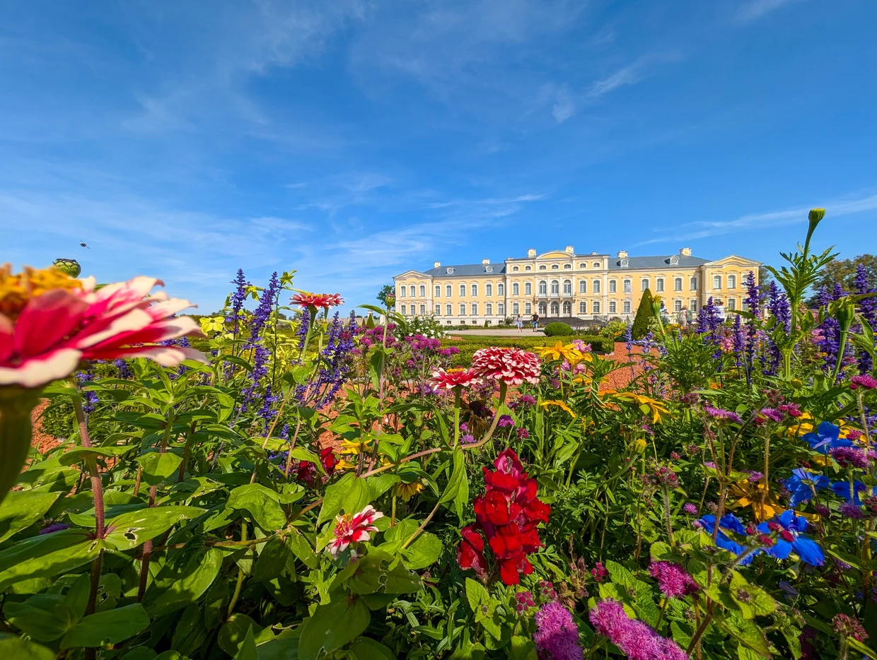 Wildflowers in summer bloom with Rundāle Palace in the soft-focus background