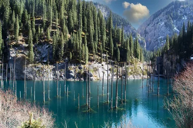 Kaindy Lake Sunken Forest