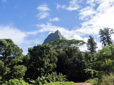 Moorea, French Polynesia