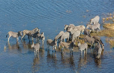 Okavango Delta