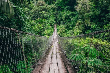 Mistico Hanging Bridges