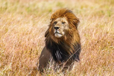 Serengeti National Park