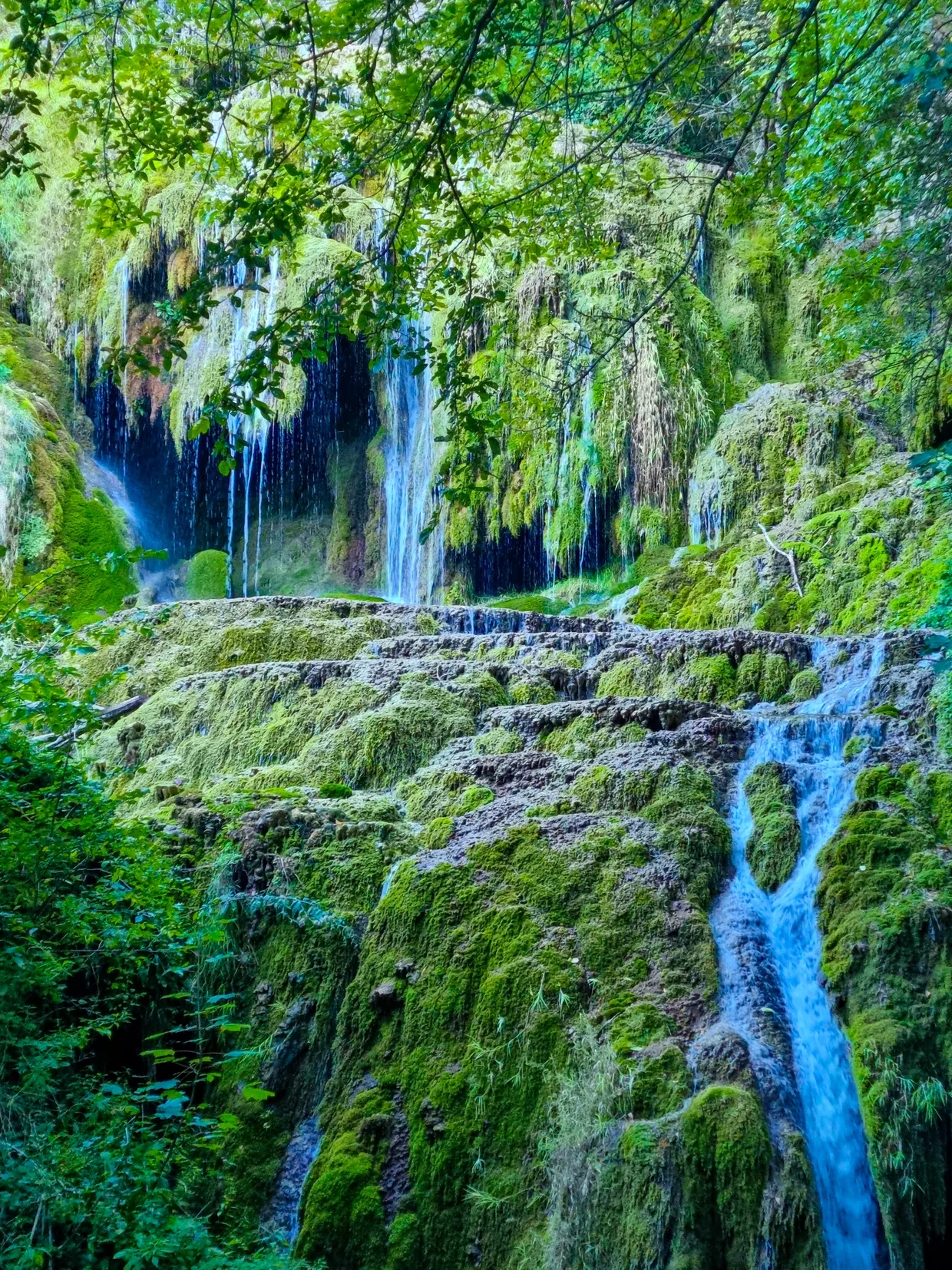 Mossy waterfall cascading through green forest