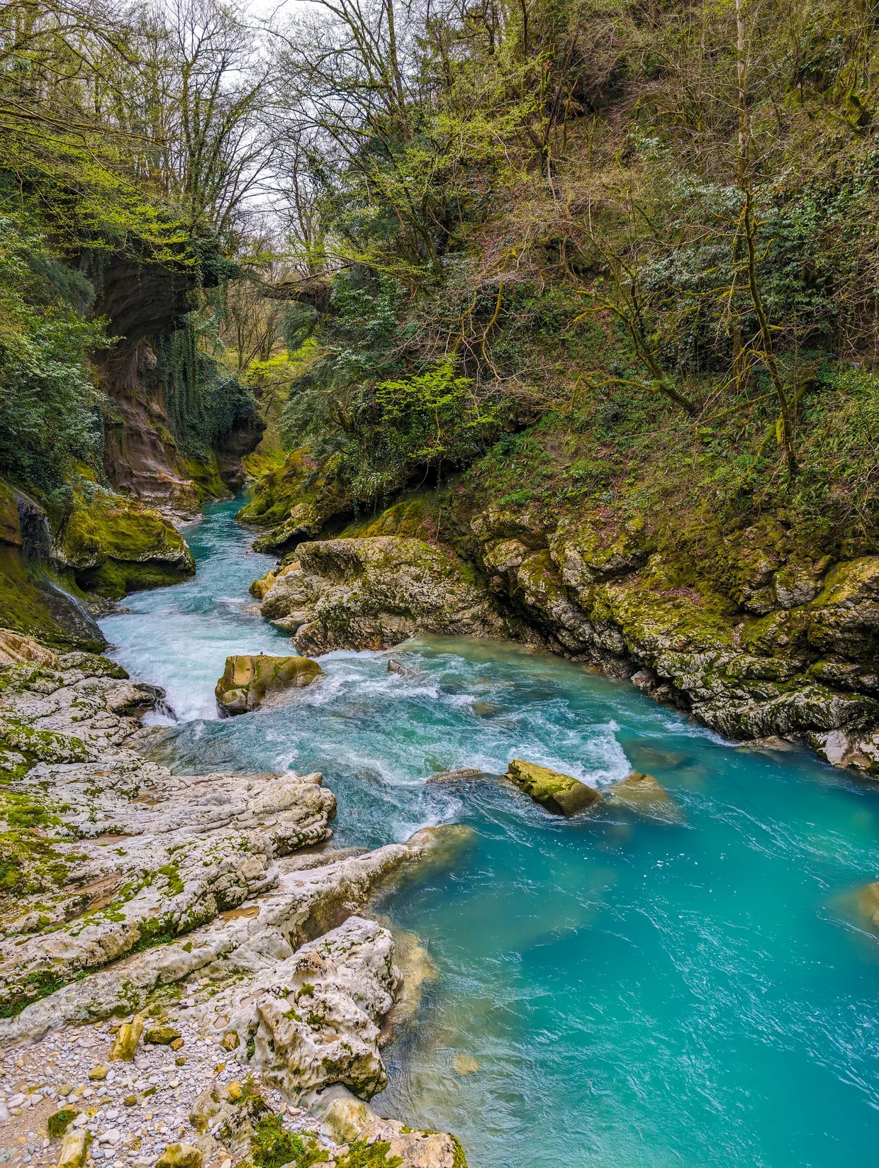 Martvili Canyon
