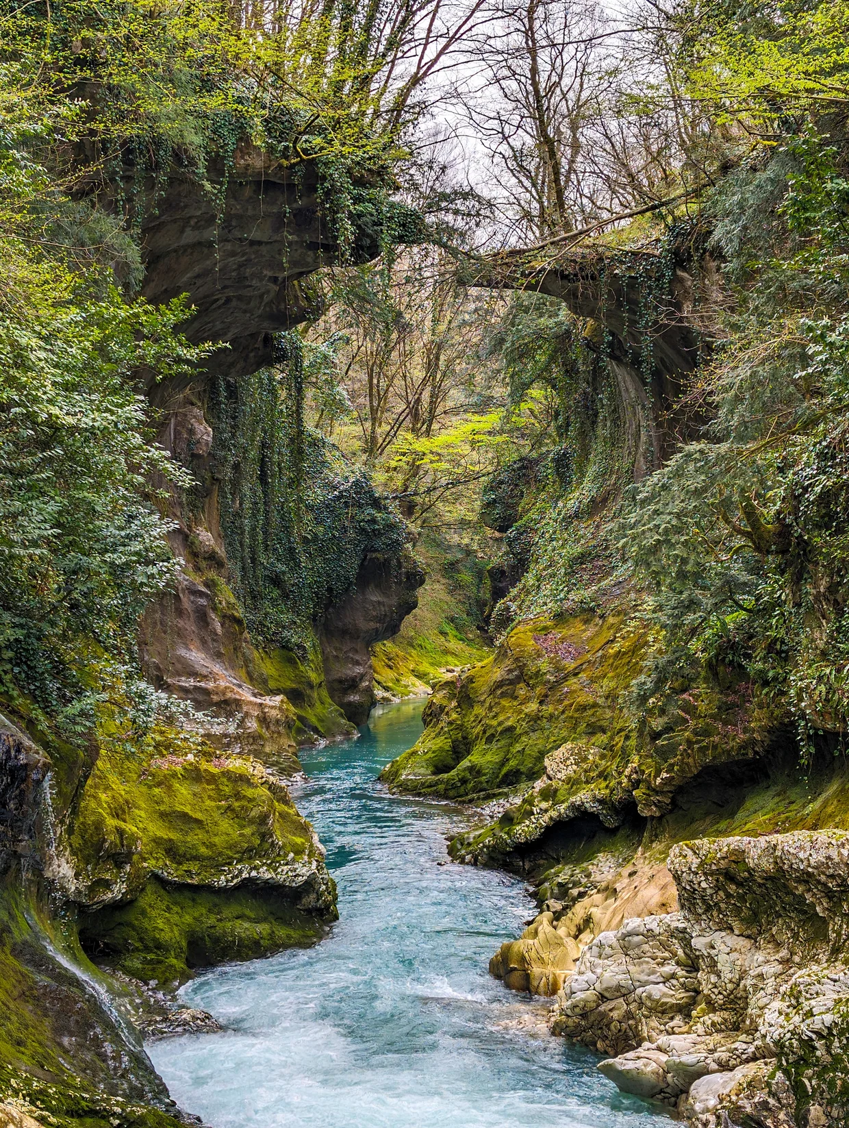 The canyon from above, a natural stone overhang framing the view