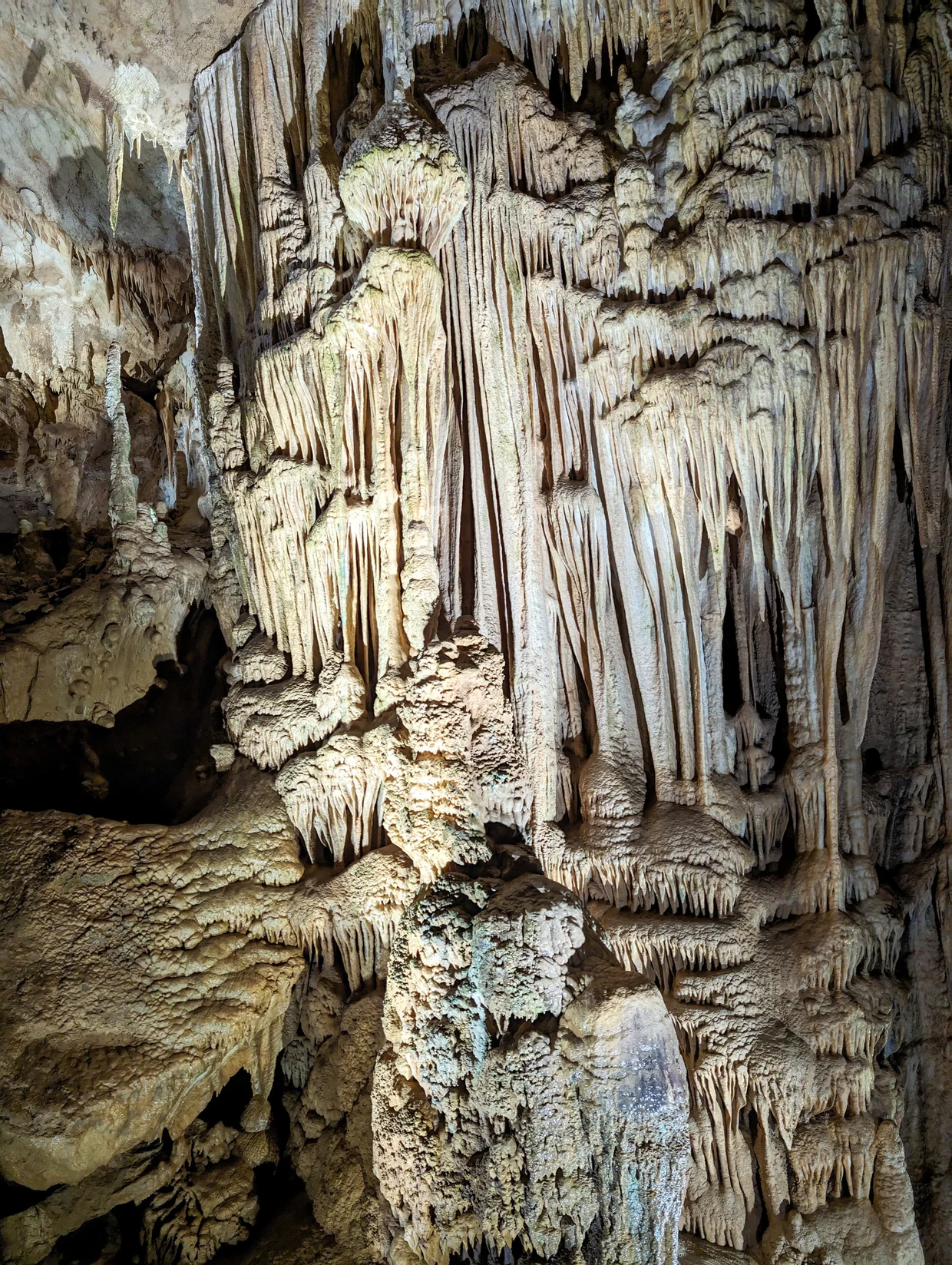 Dense stalactite formations in the cave