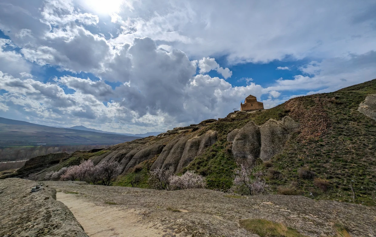 Uplistsikhe church on the hilltop with almond trees in blossom below