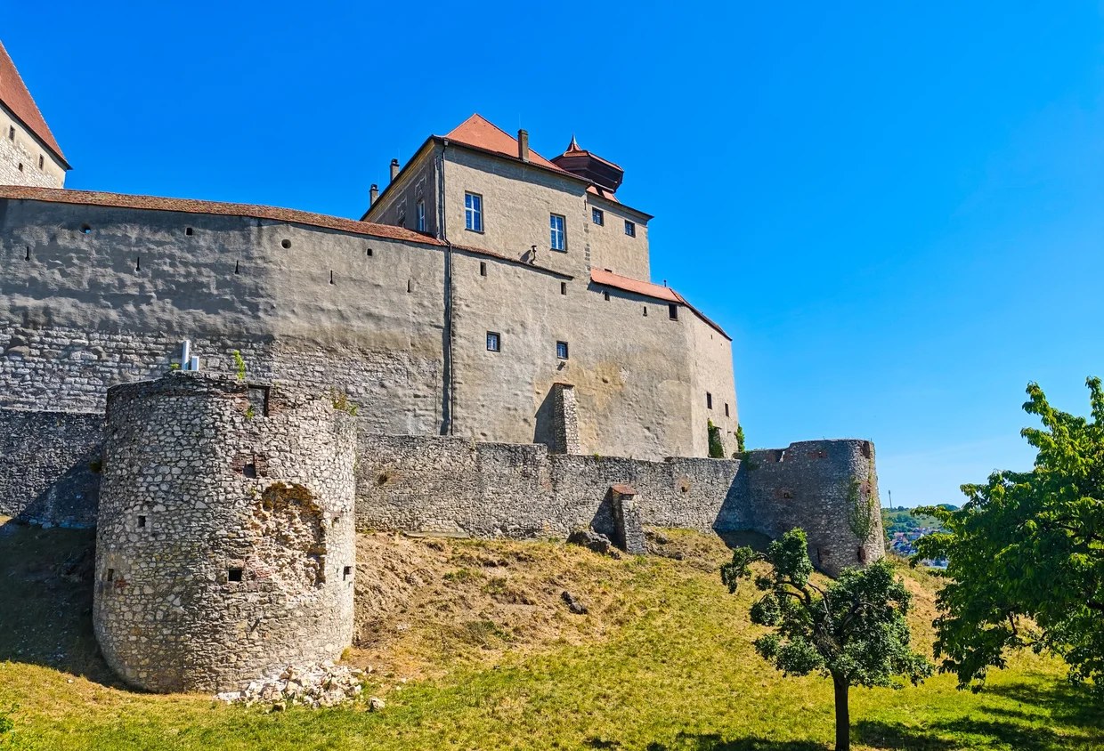 The castle with stepped gables and dormers framed by trees