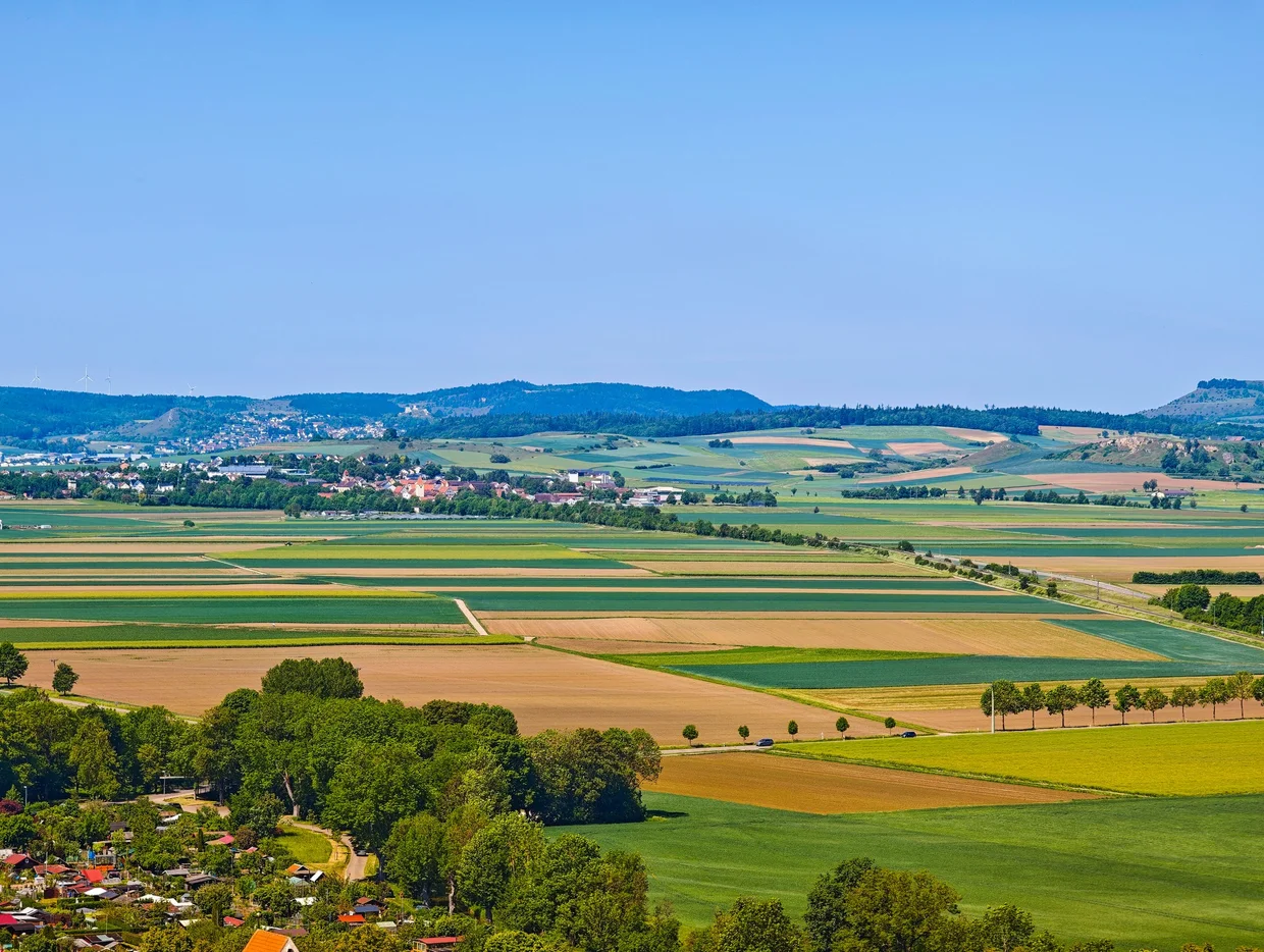 The green hills on the horizon are the rim of the Ries asteroid crater, seen from Nordlingen's Daniel tower