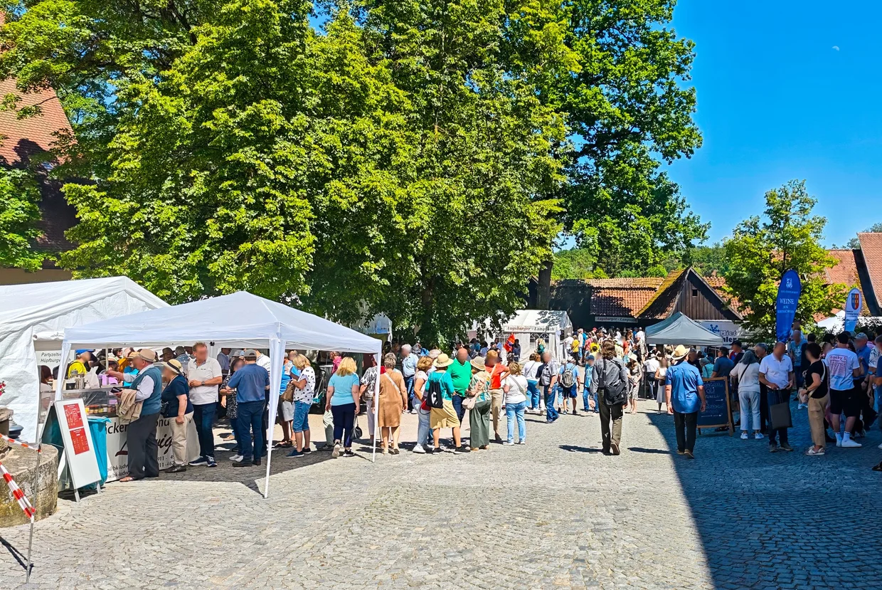 Festival crowd under the trees