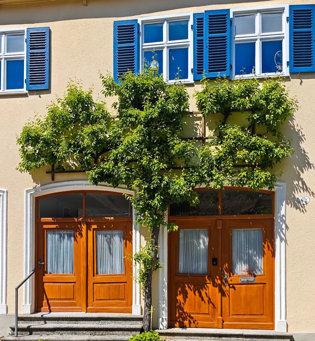 Yellow timber-frame with vines and blue shutters