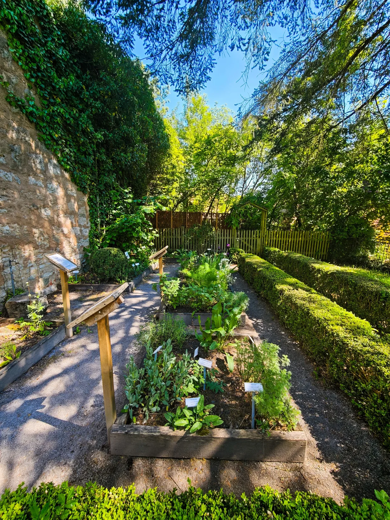 Medieval herb garden, Dinkelsbuhl