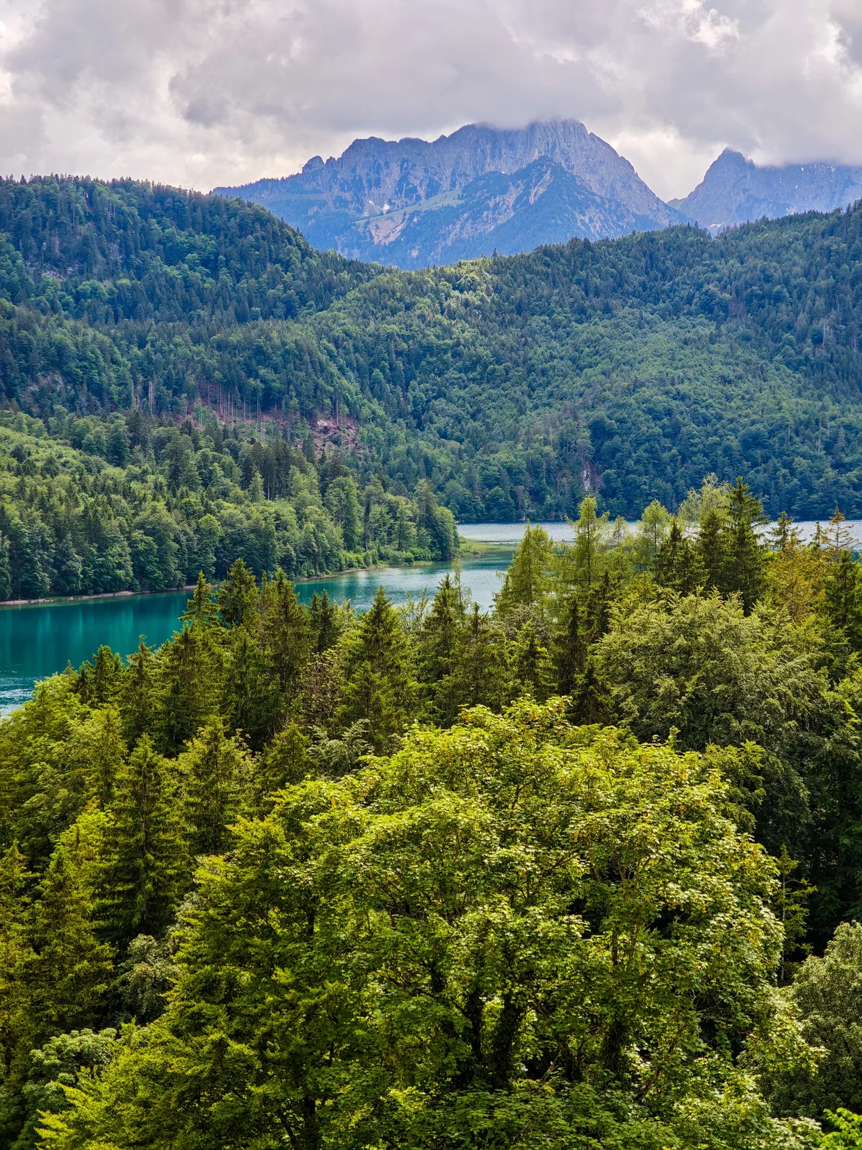 The turquoise Alpsee from the higher path