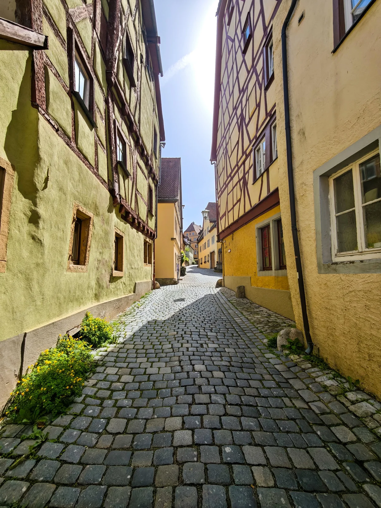 A narrow cobbled back lane between houses