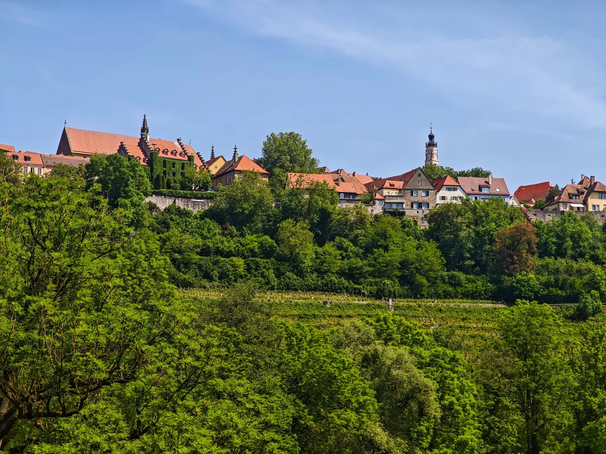 Rothenburg on the hilltop seen from the vineyards