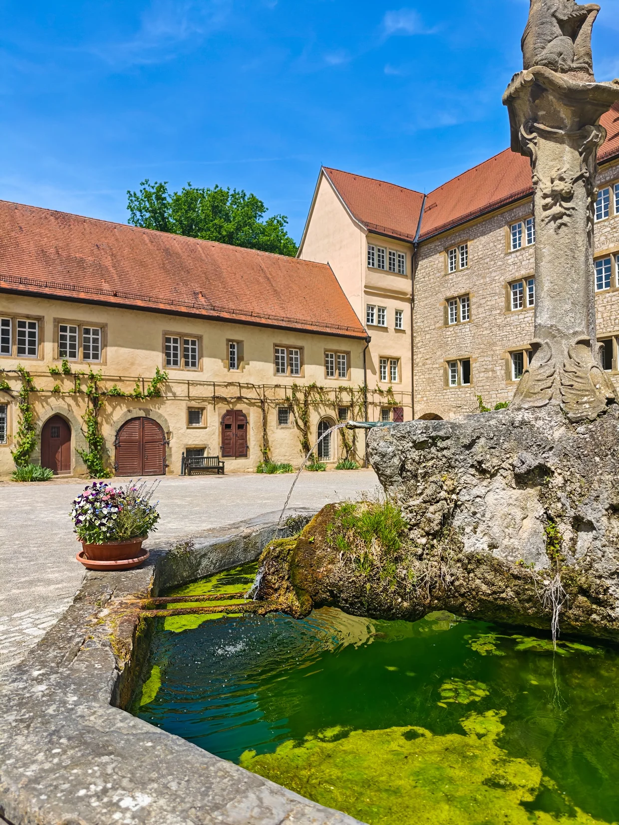 Algae-green fountain pool in the inner courtyard