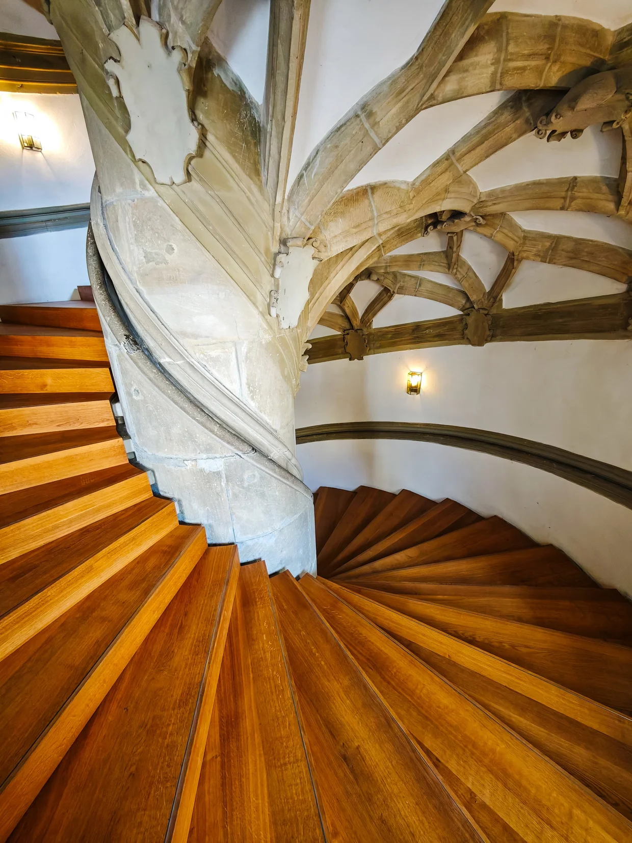 A Gothic spiral staircase fanning out into a ribbed stone vault overhead