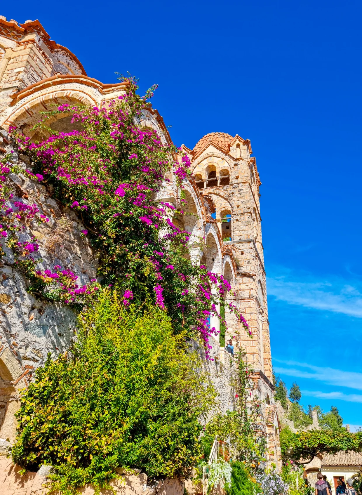 Byzantine church with bougainvillea climbing up its stone wall