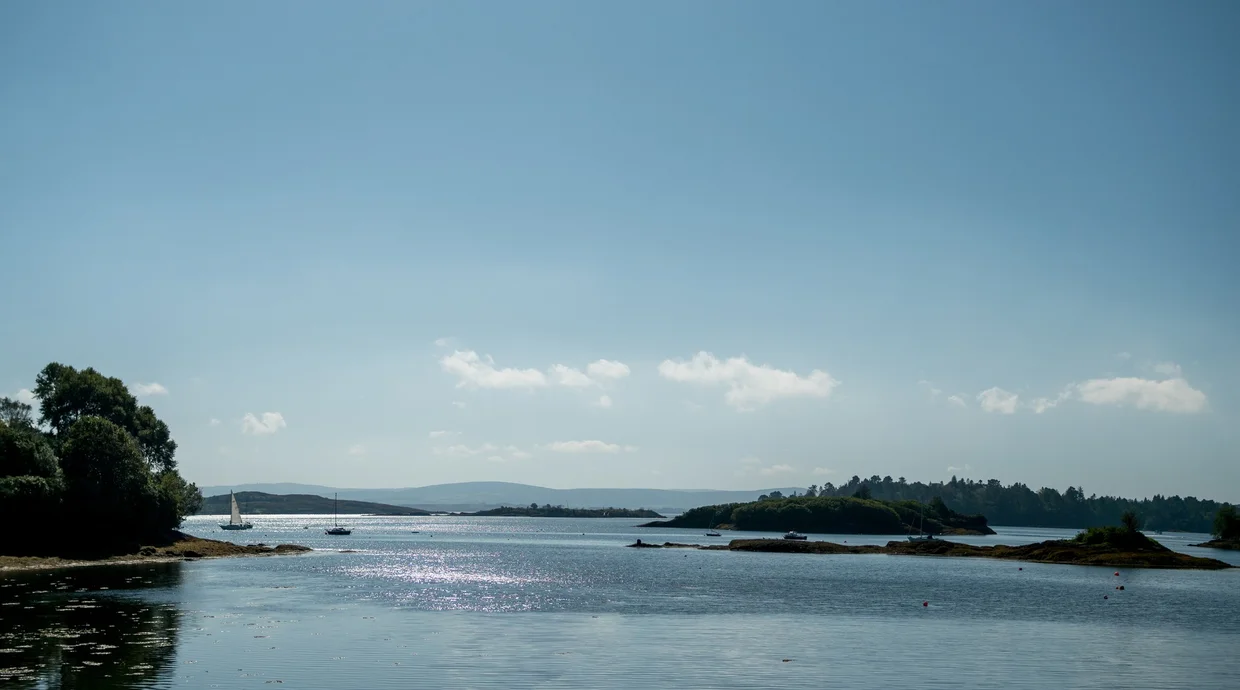 A calm West Cork bay with a sailboat and wooded islets in afternoon light