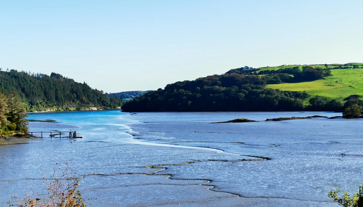A tidal estuary in West Cork at low water winding between wooded slopes and green hills