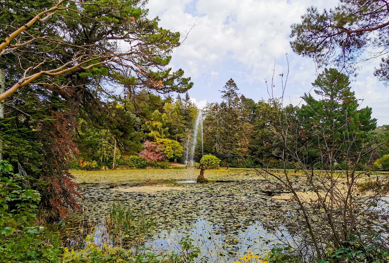 A pond and tall jet fountain framed by autumn trees at Powerscourt Estate