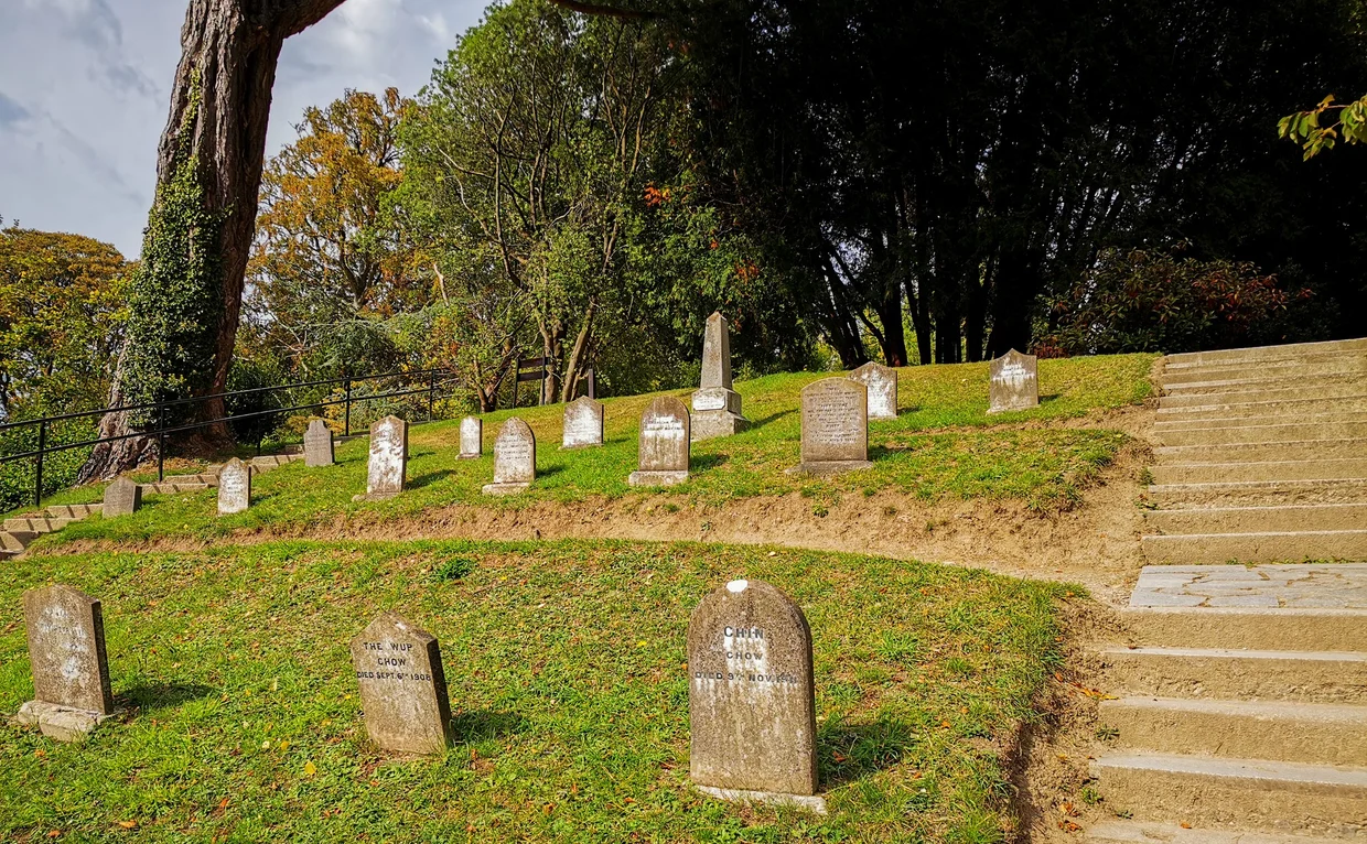 The pet cemetery at Powerscourt Estate with small headstones on a grassy hillside