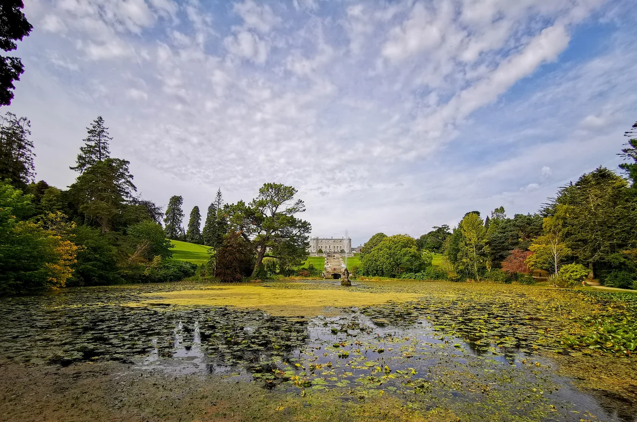 A lily-covered lake at Powerscourt Estate with the mansion visible through the trees