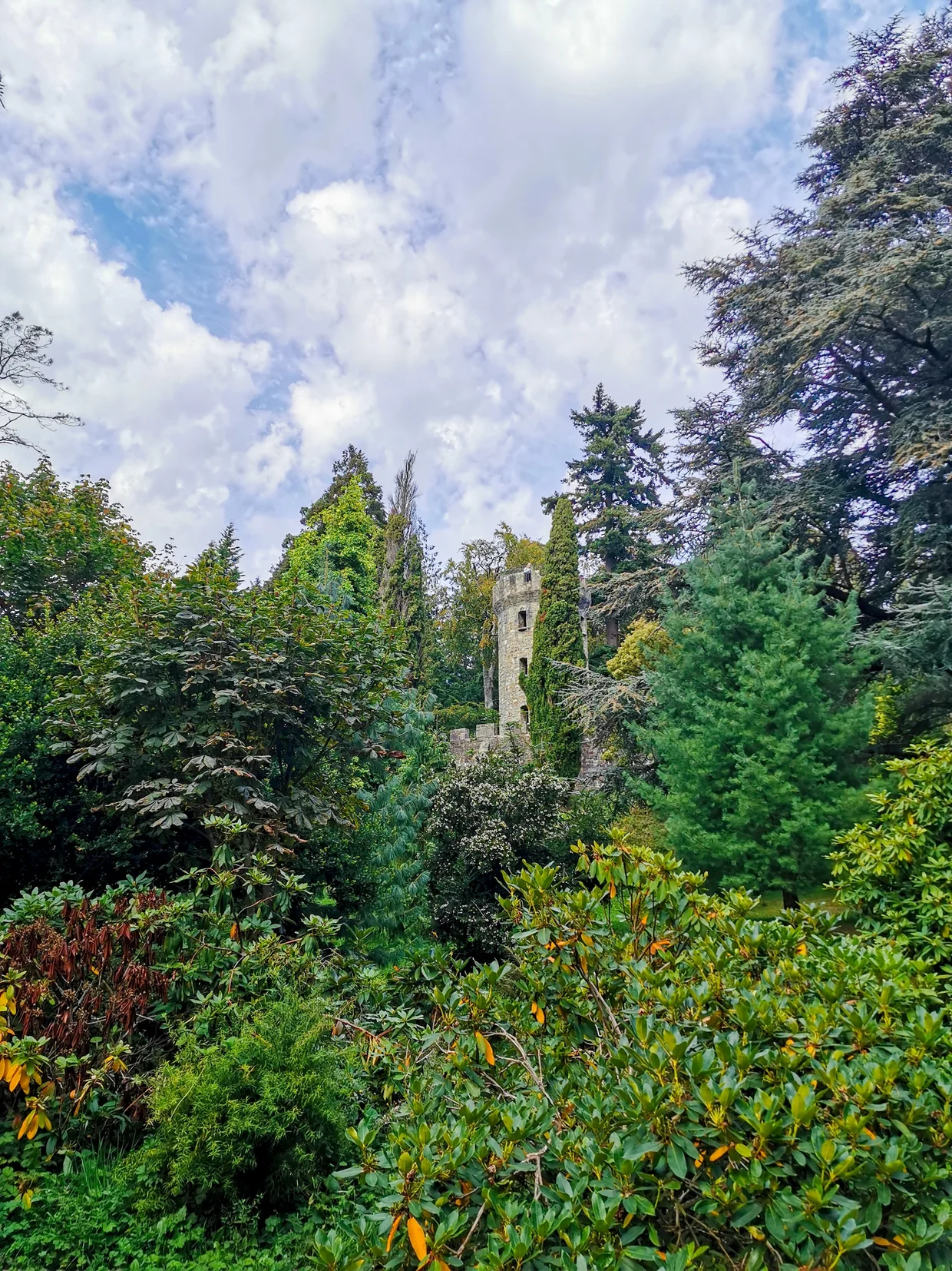 A stone tower rising above green shrubs and trees at Powerscourt Estate