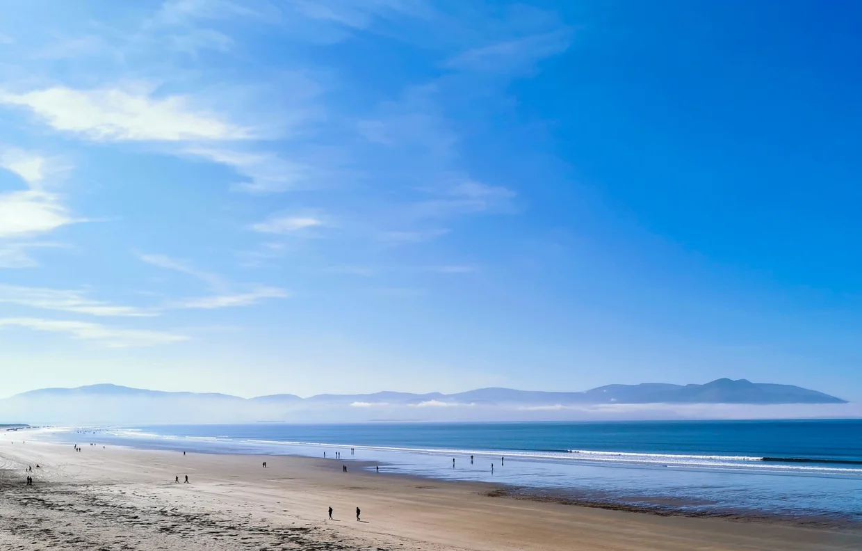 Green tidal marshland near Inch on the Kerry coast with distant mountains under a blue sky
