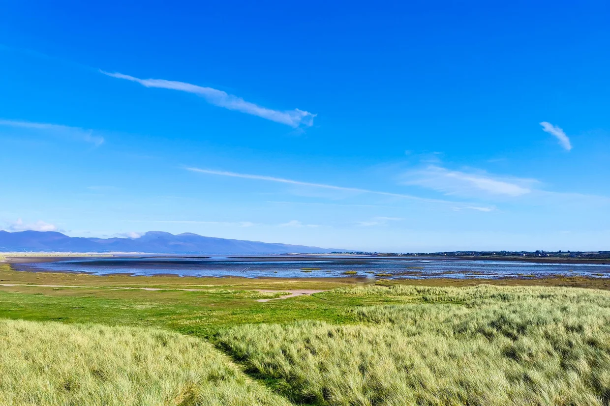 Dune grass and tidal marshland on the Kerry coast with a hazy mountain range across the bay