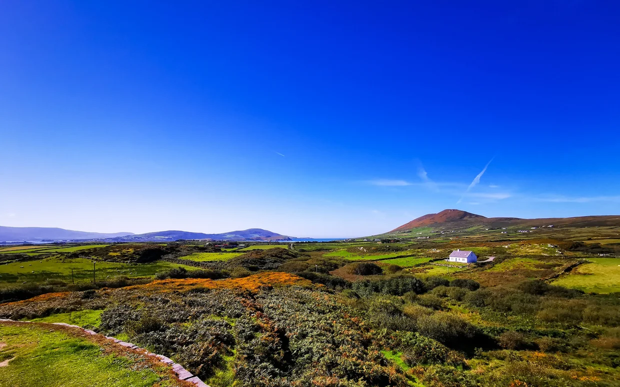Green Iveragh countryside with a white cottage, gorse, and a hill above the sea