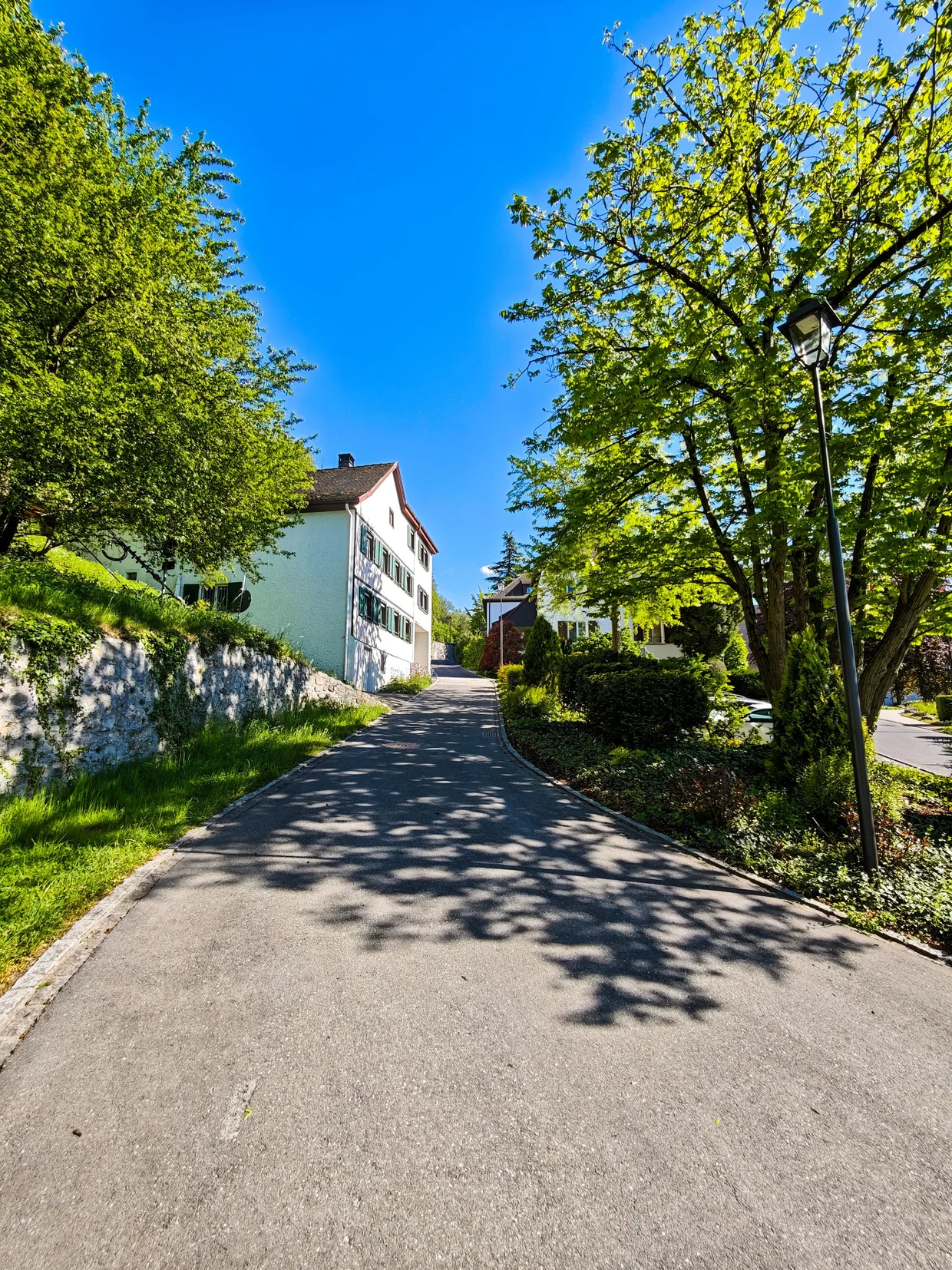 A quiet residential street climbing the hill behind Vaduz