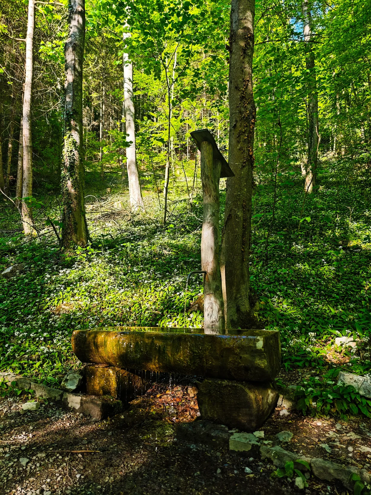 Mossy stone fountain in the forest on the way up