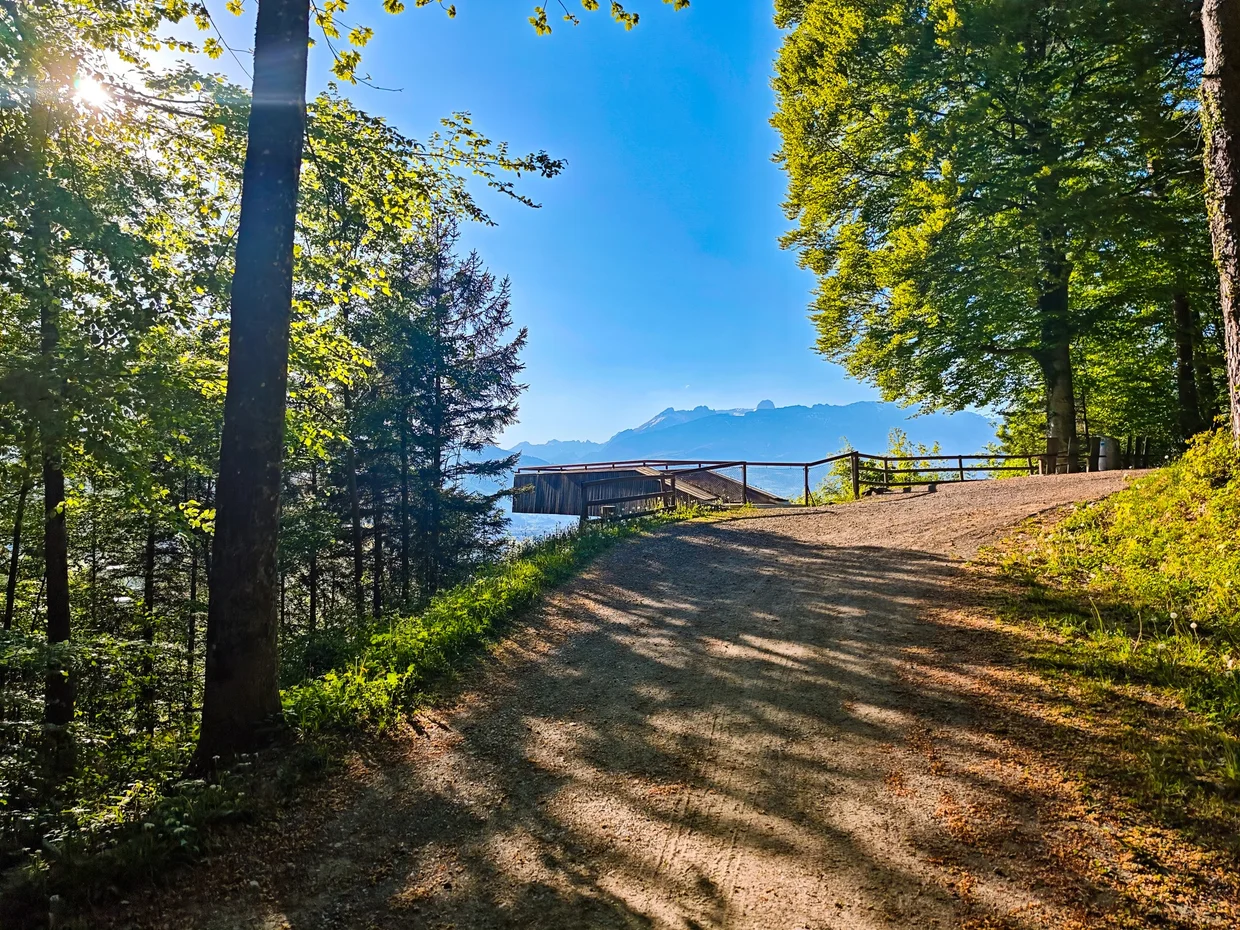 Forest path with a glimpse of the mountains beyond