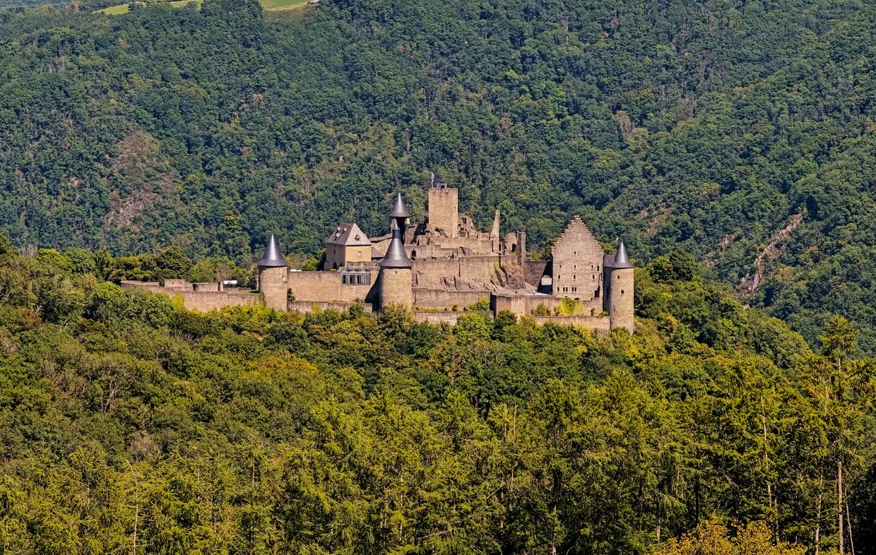 castle on forested hill