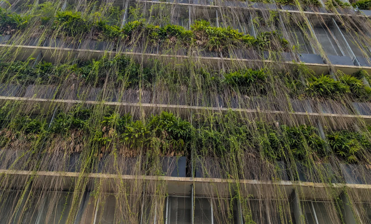 Lloyd's Inn Kuala Lumpur, vertical-garden facade gone full overgrowth