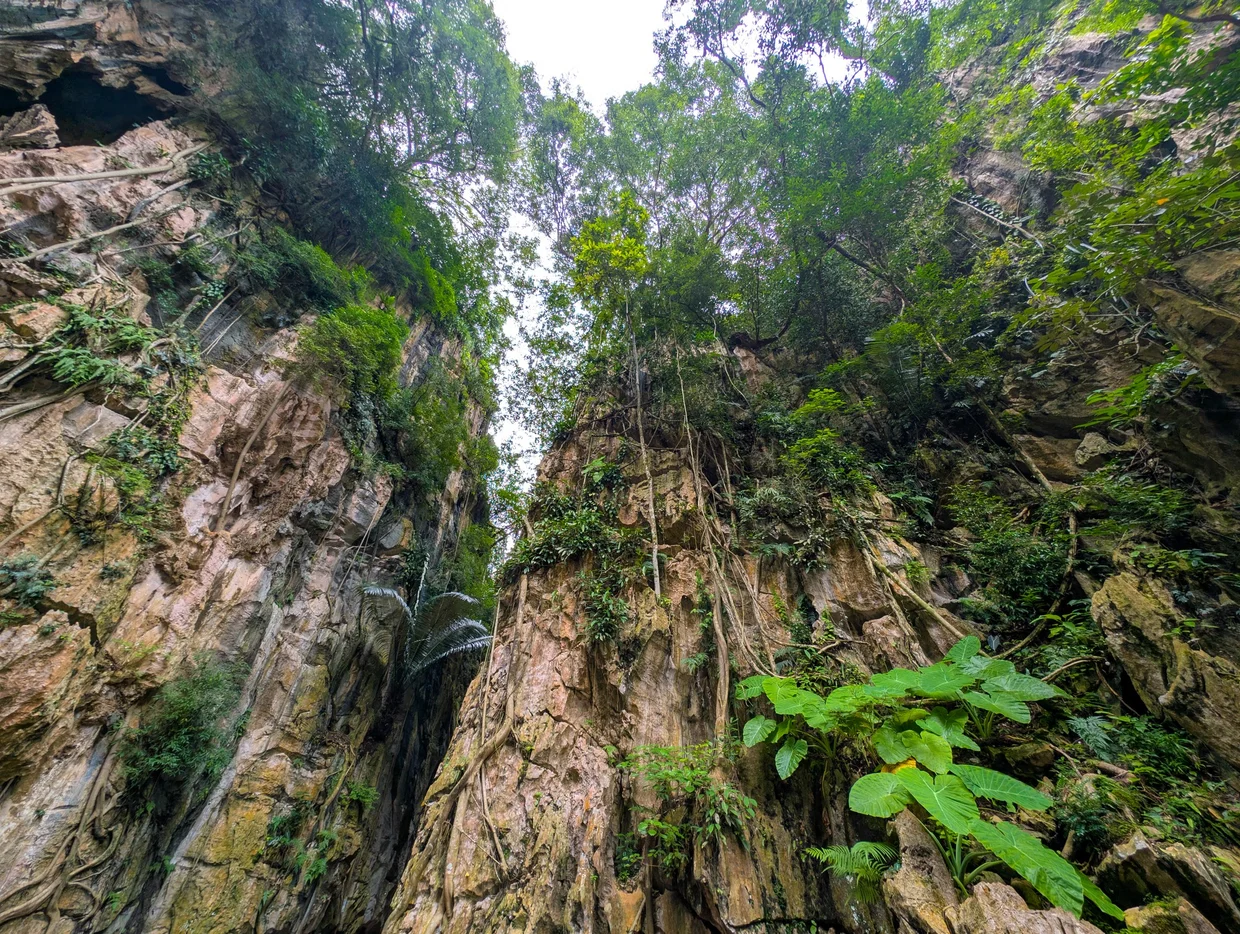 Looking up through a cave opening