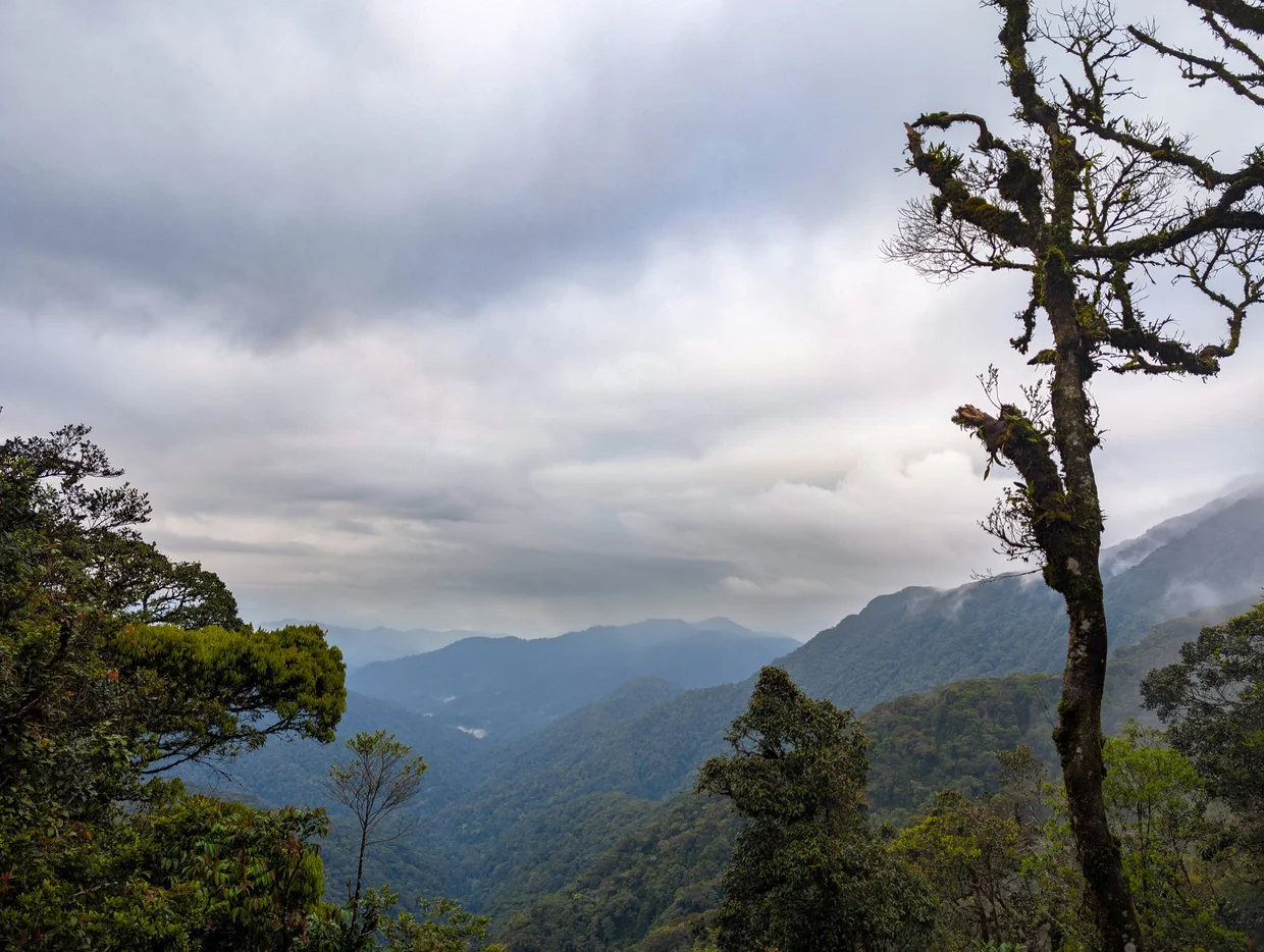 The view from the lookout, on a rare clear moment