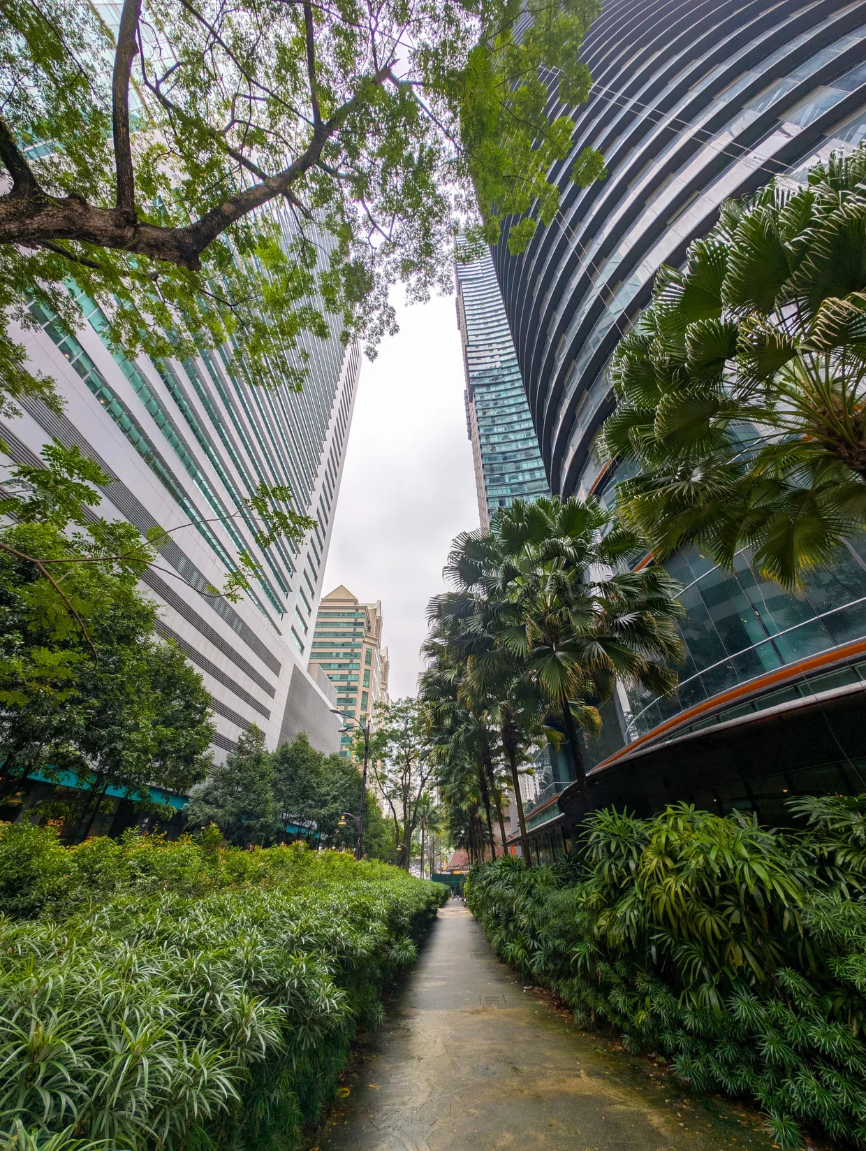 Pocket of green between KLCC towers