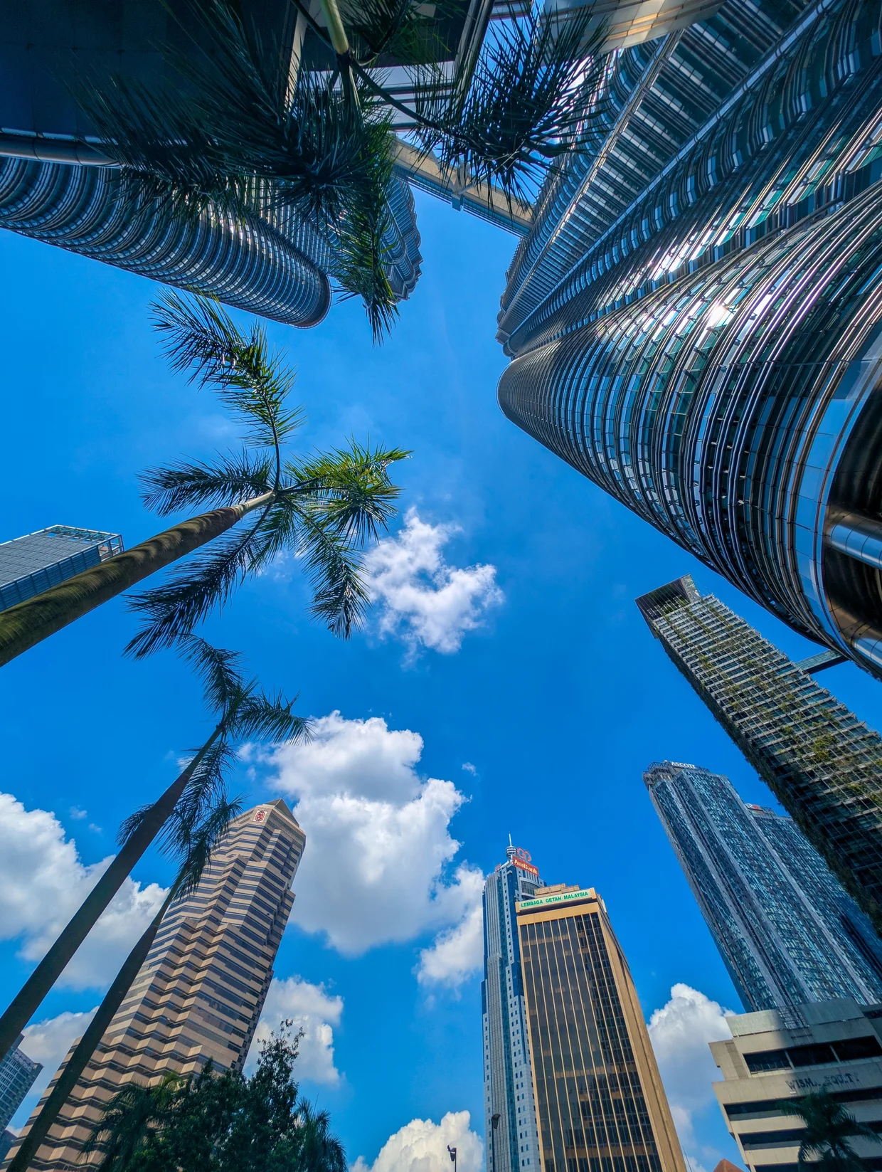 Looking up between KLCC towers