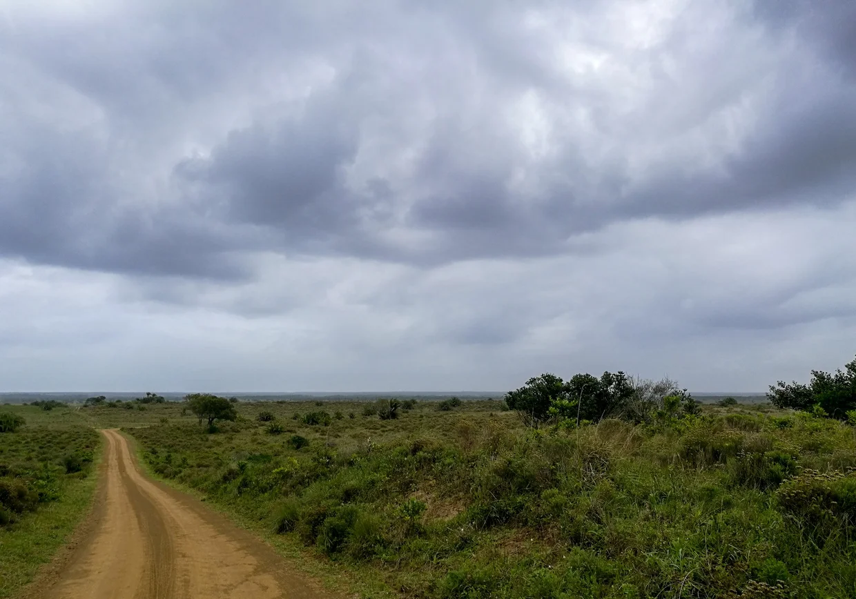 Dirt road stretching through iSimangaliso Wetland Park under stormy skies