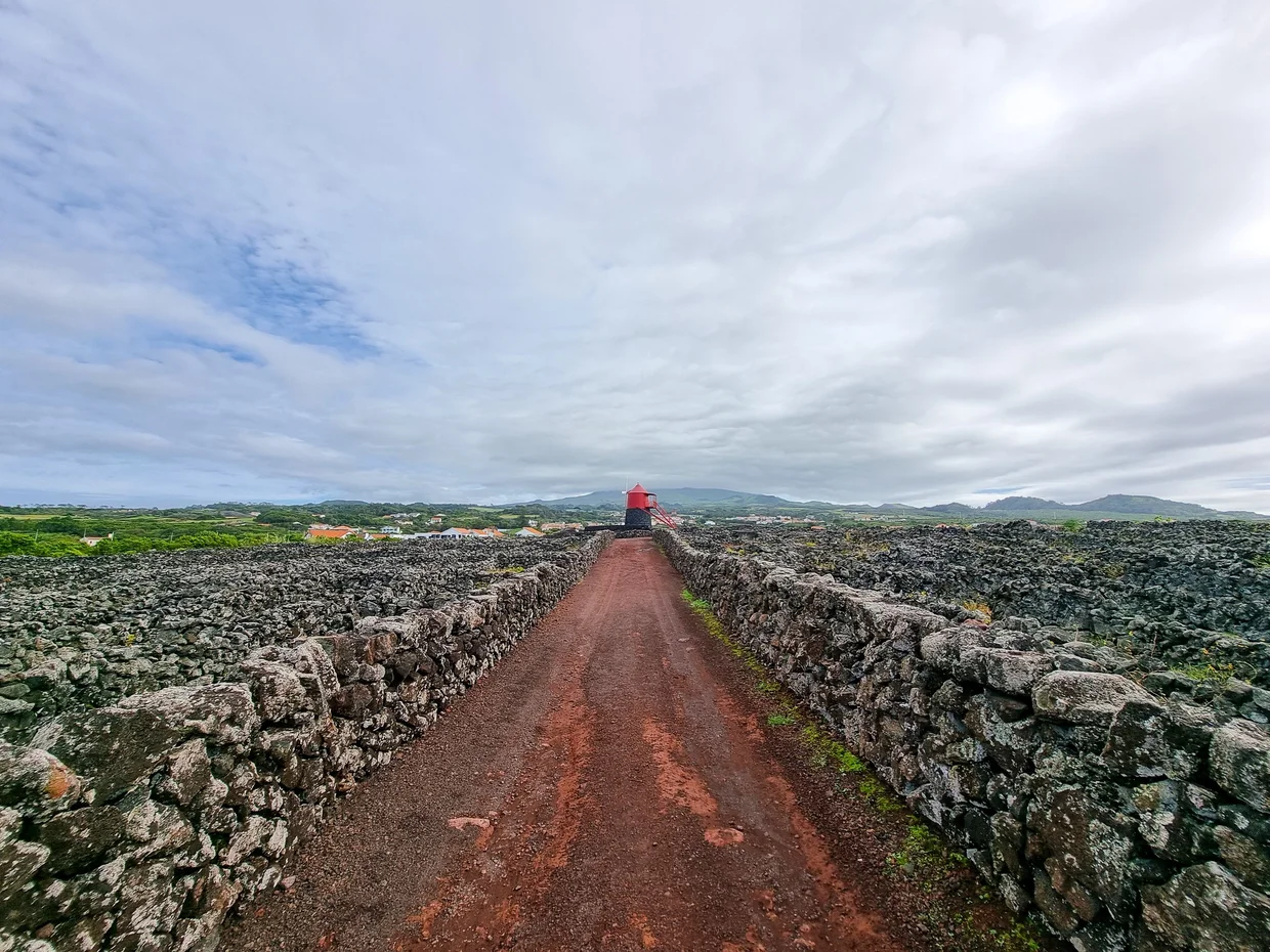 Lava stone vineyard walls on Pico