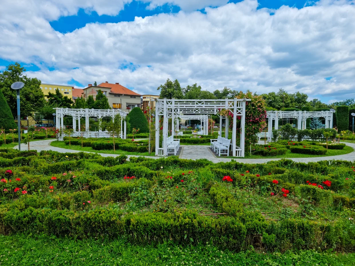 Roses Park with white benches and summer flowers