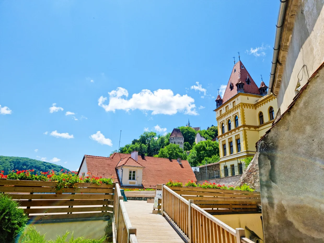 Sighisoara citadel rooftops and a tower behind tiled roofs