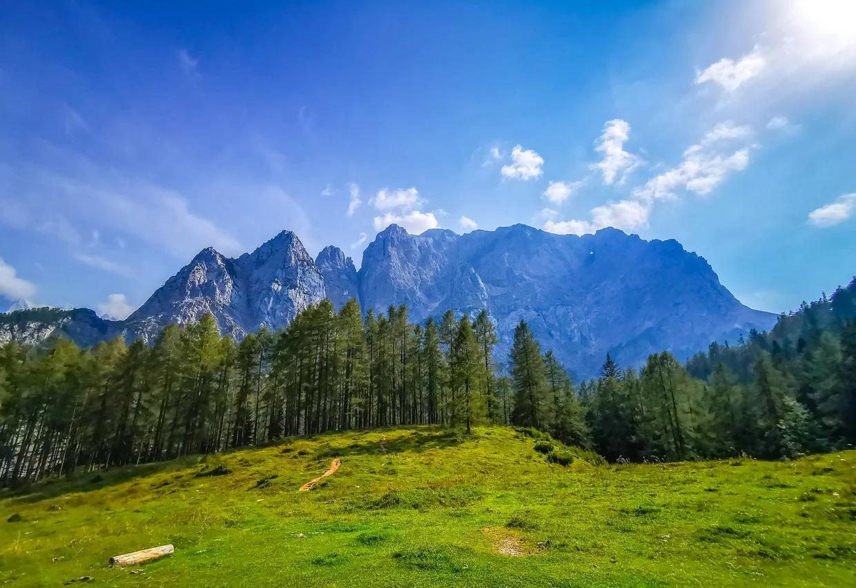Julian Alps panorama with a green meadow in the foreground and jagged peaks against a clear sky