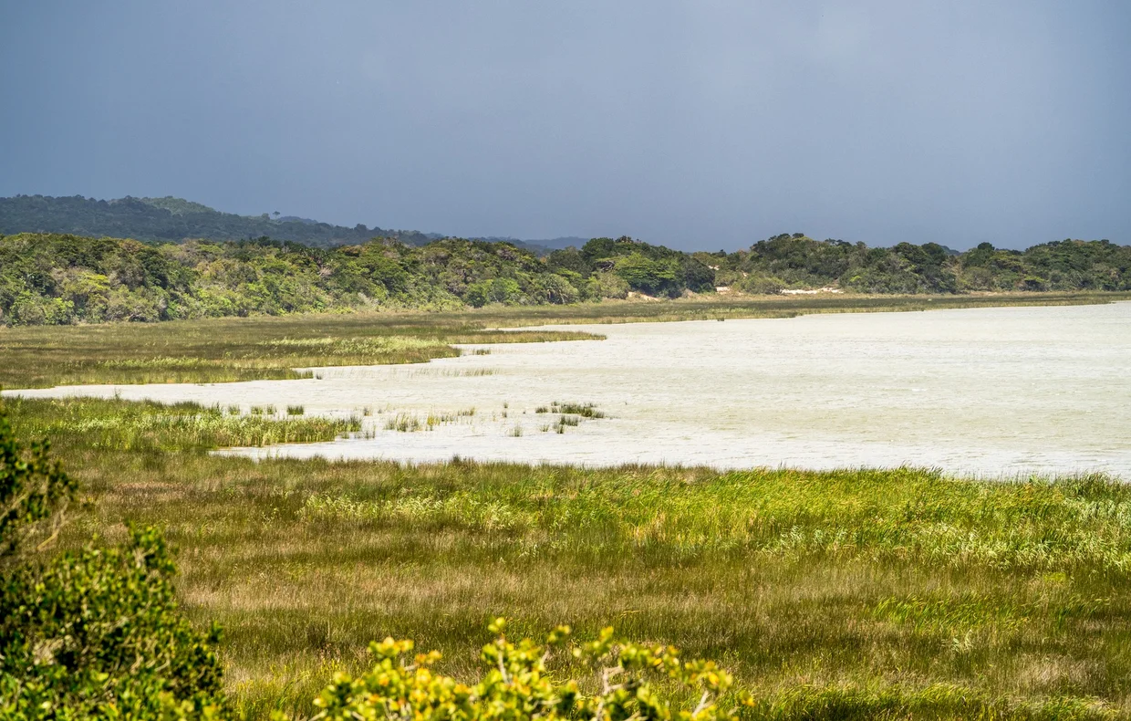 Wetland and lake landscape in iSimangaliso