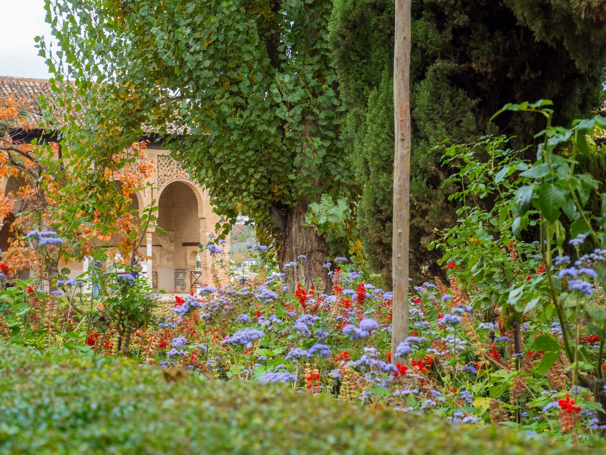 Wildflowers and archway in the gardens
