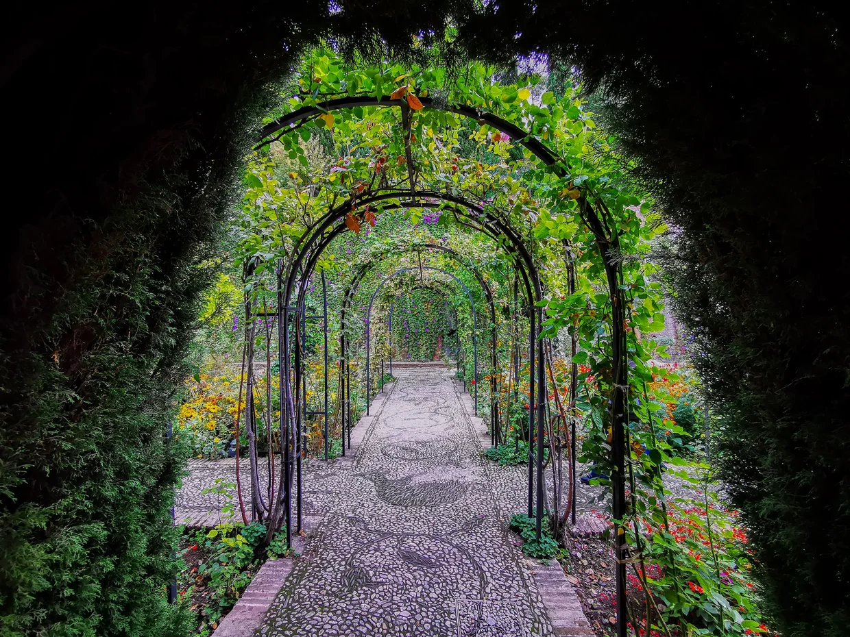 Garden arches in the Generalife