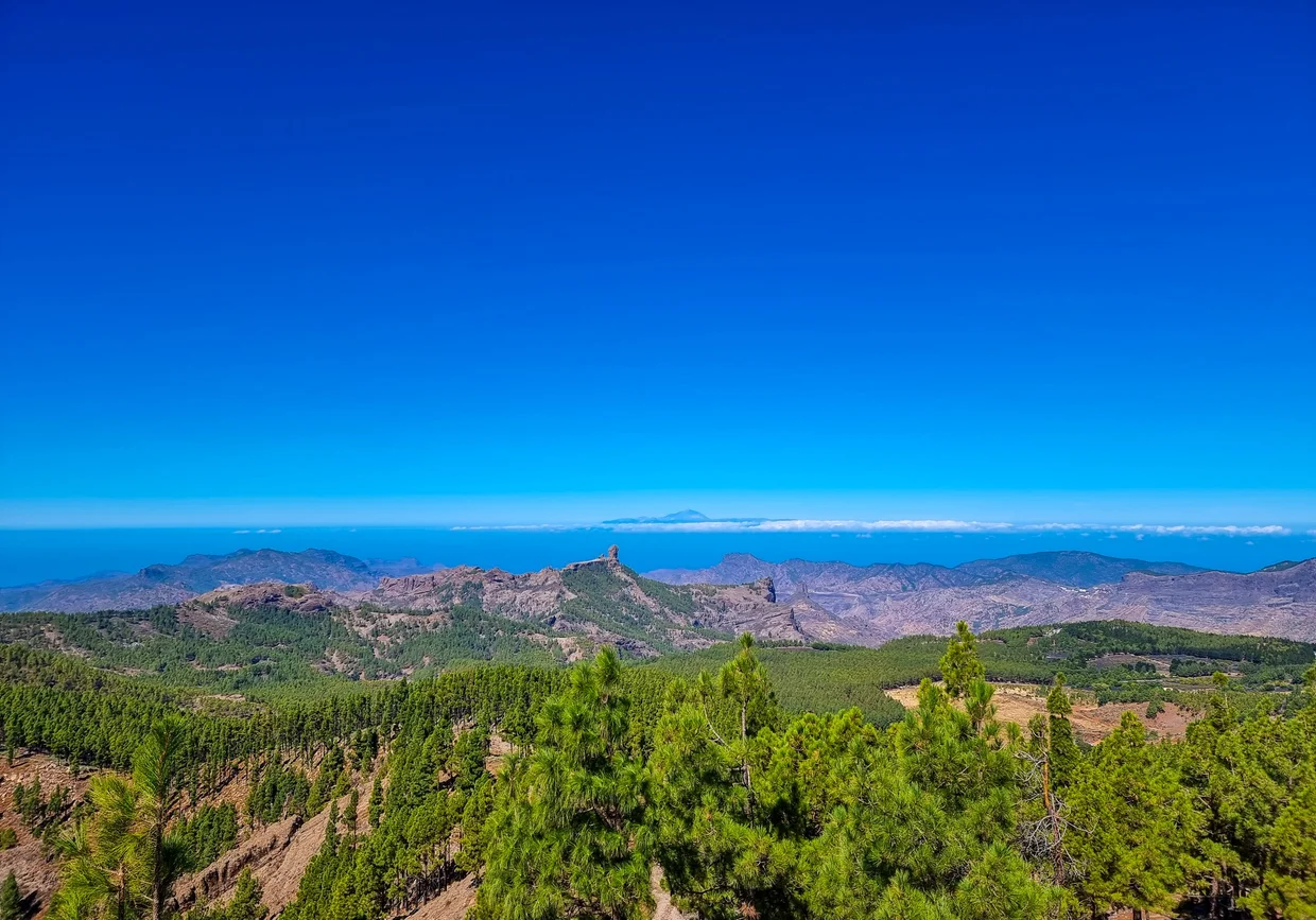 Panoramic view of pine-forested mountains with Teide on the horizon