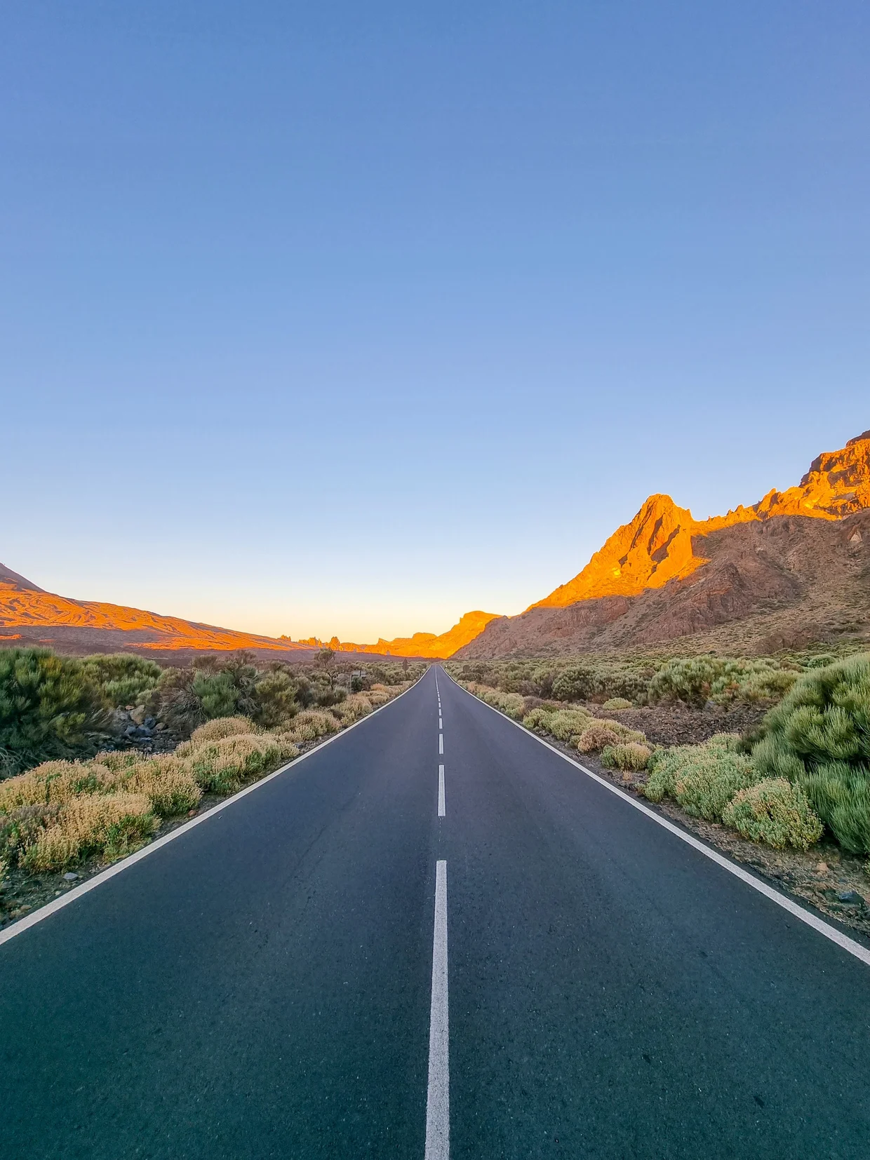 Road through Teide National Park at sunset, Tenerife